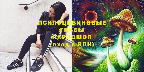 Альфа ПВП Липки