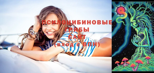 Альфа ПВП Липки